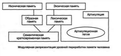 Файл:Screenshot 2024-11-27 at 17-42-29 Иконическая и эхоическая память.png