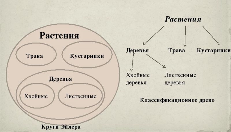Файл:Logika 25.jpg