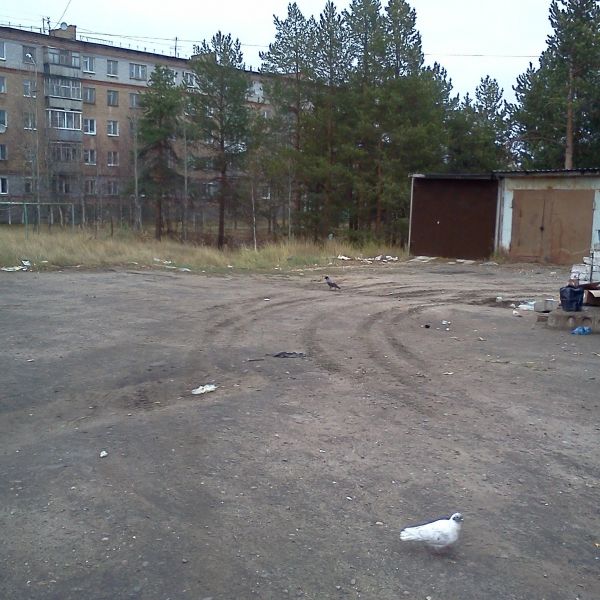 Файл:V yame.jpg