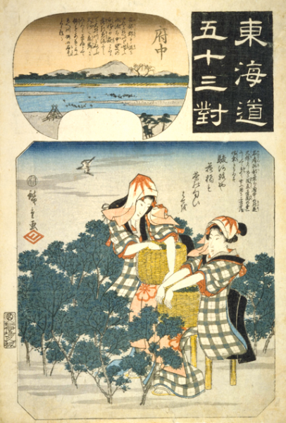 Файл:Hiroshige53fuchu.png