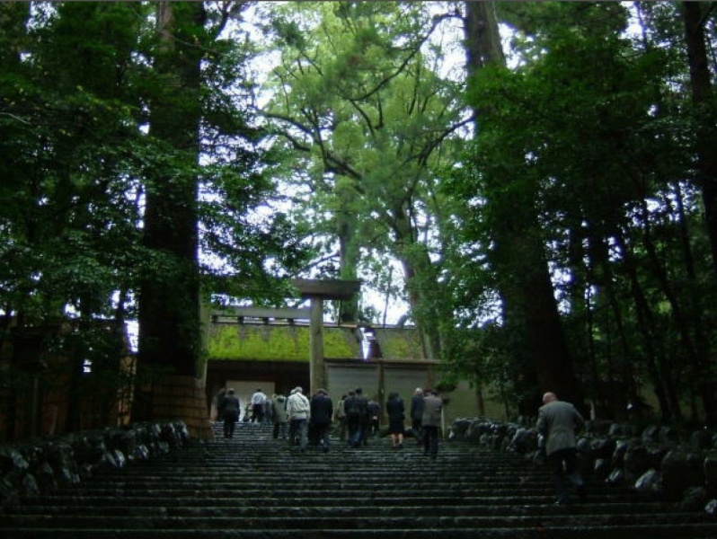 Файл:Basho - sugi.jpg