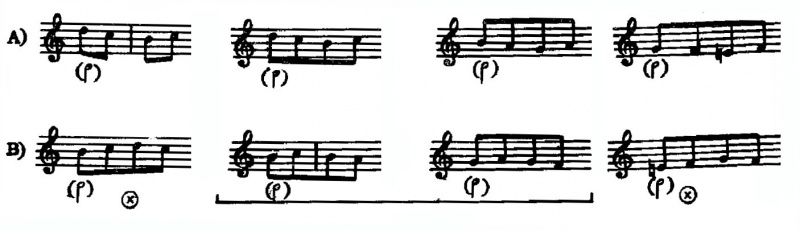 Файл:Hershkowitz-Anatomy-01.jpg