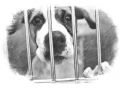 Миниатюра для версии от 01:24, 25 февраля 2023