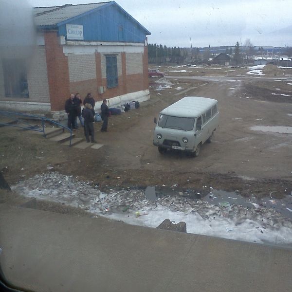Файл:Sindor, skoraya 2.jpg